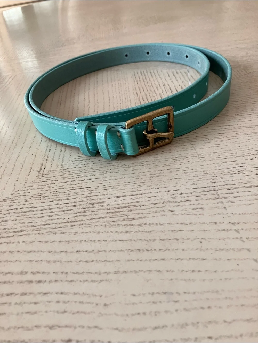J. Crew Slim Turquoise Italian Leather Belt with Brass Buckle | Size L - 41”